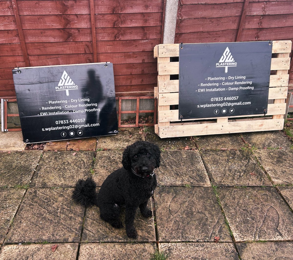 OUR MASCOT TREVOR WITH OUR NEW SIGNS! MAKE SURE TO LOOK OUT FOR OUR THEM OUTSIDE OUR JOBS WE ARE COMPLETING!!!

ANY PLASTERING WORKS YOU ARE INTERESTED IN MAKE SURE TO GET IN CONTACT AND WE ARE VERY HAPPY TO GIVE FREE ADVICE AND FREE QUOTATIONS !
