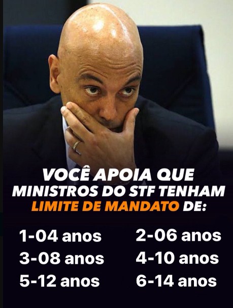 BolsoMito380's tweet image. 