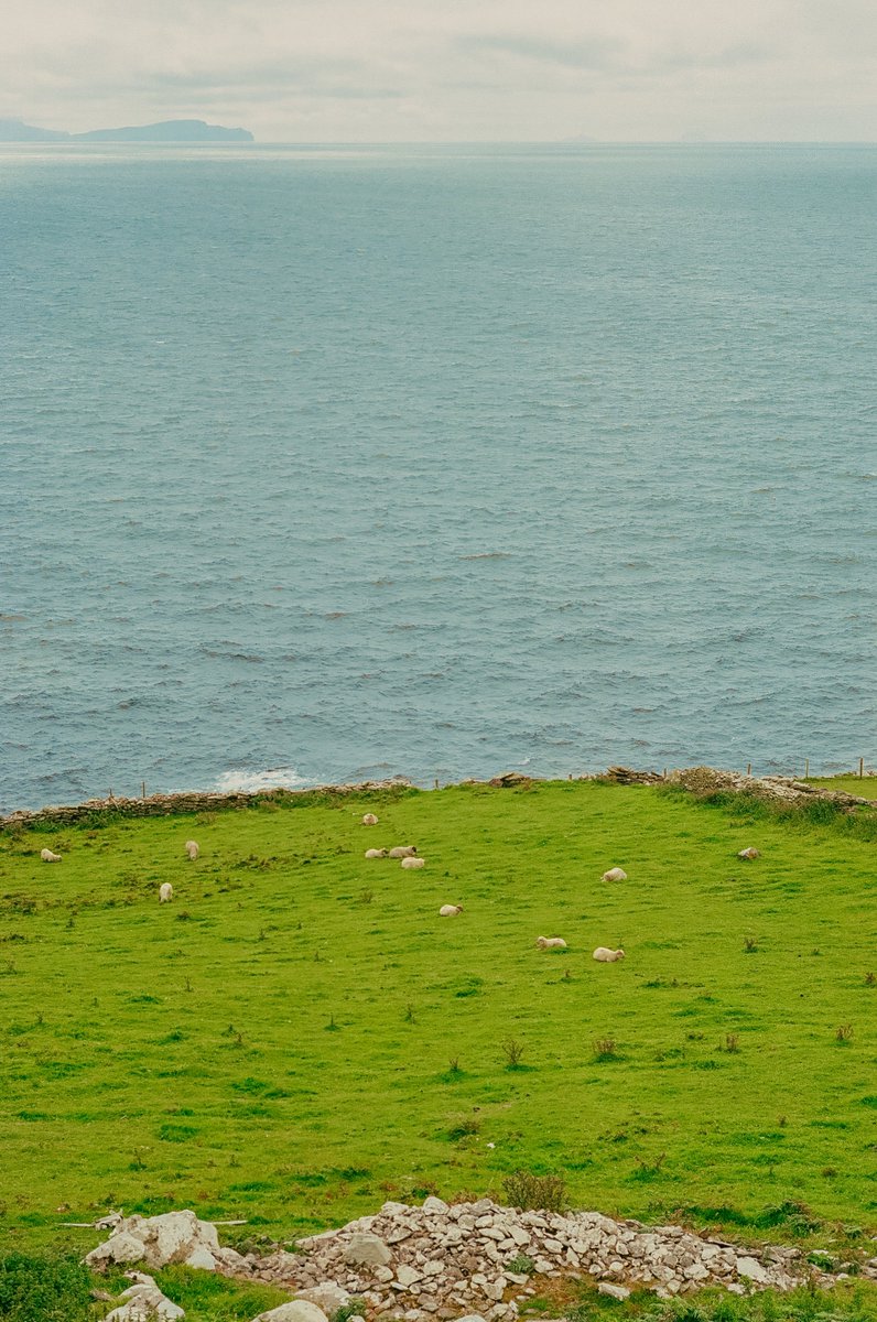 Along the coast of Ireland 🎞️