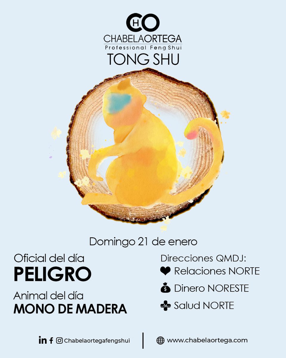 ChabelaEl's tweet photo. 📷Animal del día MONO DE MADERA

📷Animal en contra TIGRE

📷Direcciones QMDJ

Relaciones NORTE
Dinero NORESTE
Salud NORTE
📷Bueno para comenzar negocios
📷Evitar disolver acuerdos, actividades financieras

📷Animales beneficiados

Rata, Dragón, Serpiente, Mono https://t.co/YswwJEWtbY