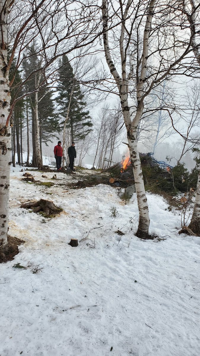 Max Finchem tweet media