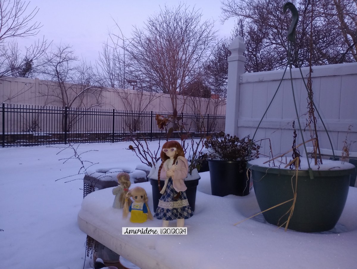 Shiho's never seen snow here, before, while Sahra has and Ripy is curious about it. 
#dollphotography #motogstylus2022 #asahinashiho #morning #signatured #sahra #dollhybrid #ripy #azonelilfairy #pureneemo #colorfuldreamin #winter #snow #morning #dolltwt #winterphotography