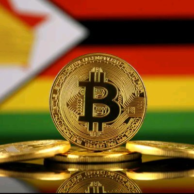 NiMoxa's tweet photo. This breed of dogs lives in snowy areas, and it differs from the Dogecoin, https://t.co/DK56jWT4uu
