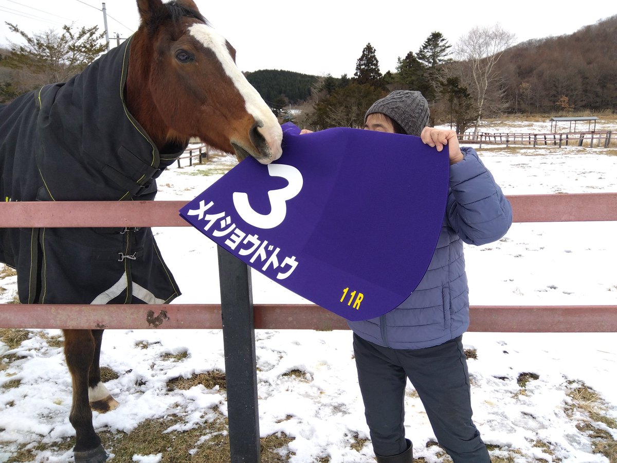NLstaff's tweet image. 1月21日は引退馬協会などの会員様の見学日でした。
会員様が持参された #ドットさん が優勝した宝塚記念のレプリカゼッケンを手に、見学者全員が記念撮影をしました。中の人もちゃっかり撮影😂
#メイショウドトウ
#引退馬協会
#ノーザンレイク
#見学日
#新冠町