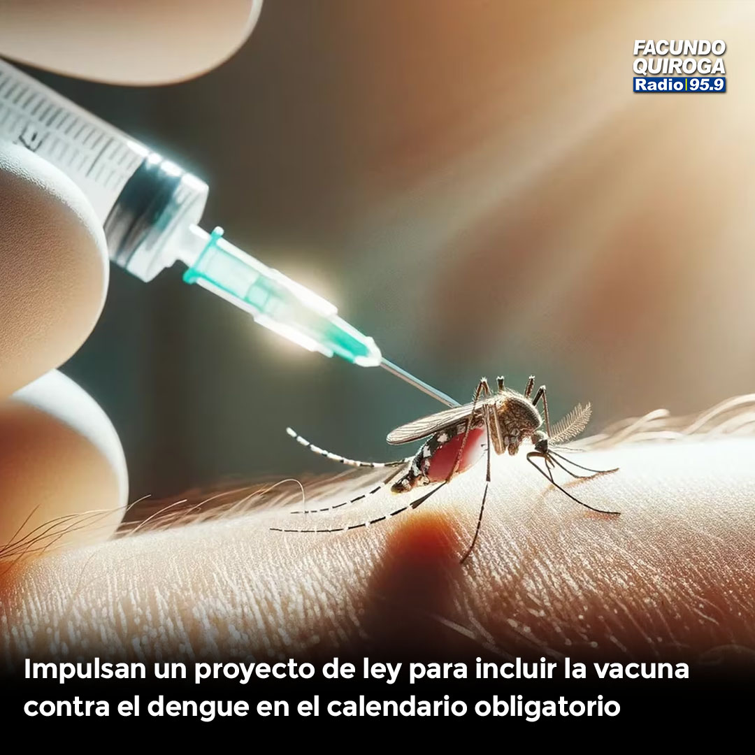💉 🇦🇷 Proyecto de Ley en Argentina propone integrar la vacuna contra el dengue al Calendario Nacional de Vacunación

Lee la nota completa 👉🏻 n9.cl/rq2065 

#VacunaDengue #PrevenciónSalud #ArgentinaVacuna #CalendarioVacunación #SaludPública #RFQ
