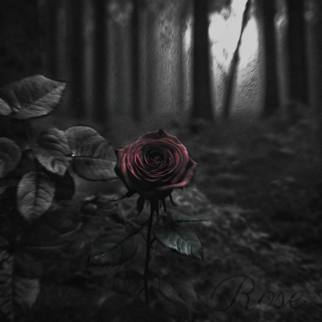 Ummtone's tweet photo. I have a new guitar instrumental album, Rose. It's a dark, guitar beat album. Hope you enjoy!

https://t.co/LHO6AgJos4 https://t.co/Qh0q03Cc2h