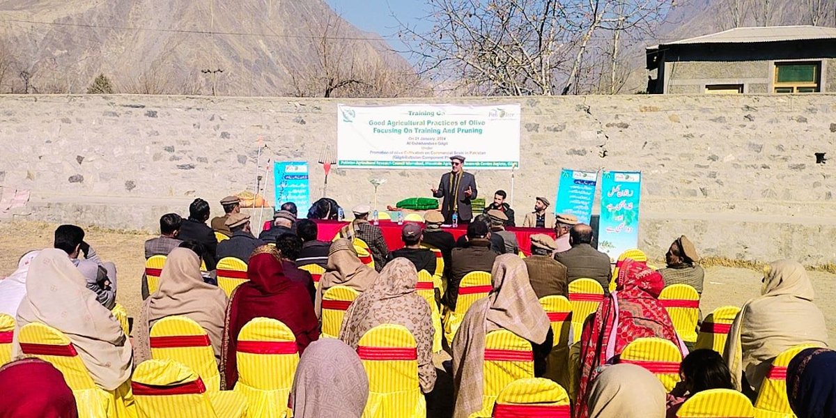 AzamNiamat's tweet photo. "Training of Good Agricultural Practices of Olive focusing on training & pruning" organized at Oshkhandass as the priviously planted plants are now ready to prune and bear fruit in incoming season.
#olives #olivegrow #pakolive #agriculture #horticulture #pomology https://t.co/RlawZS1jZh
