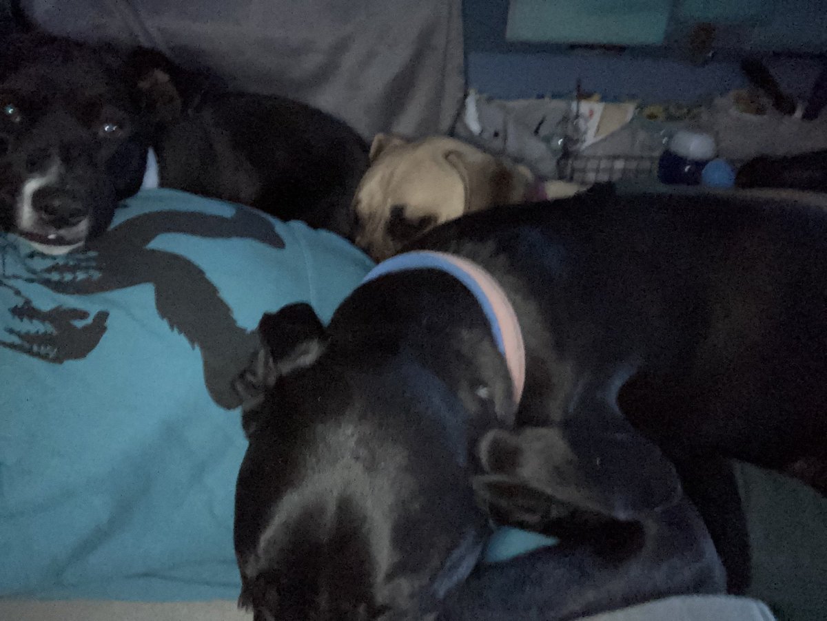 blvemt's tweet image. I really need a bigger bed.