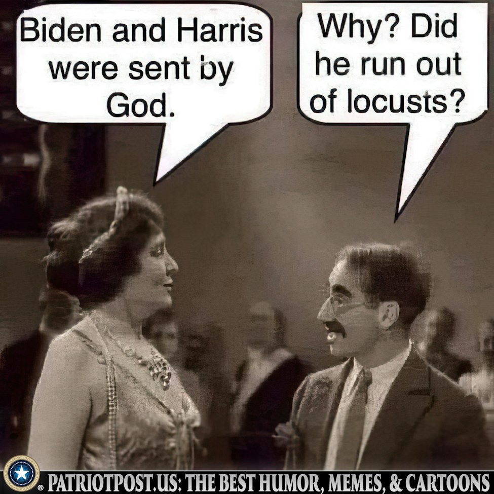 A Great Reply! 😂🤣👍