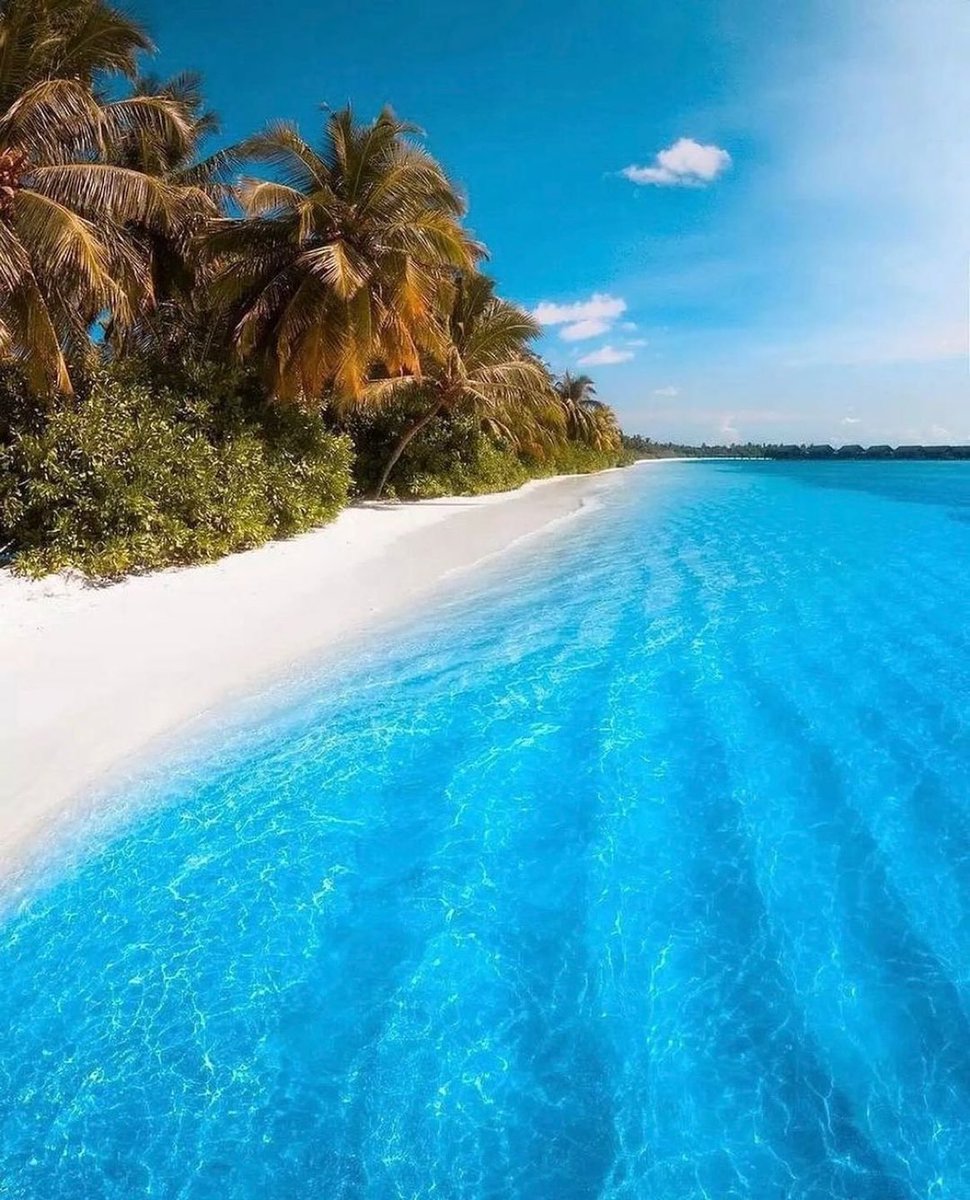 Beach in Maldives.