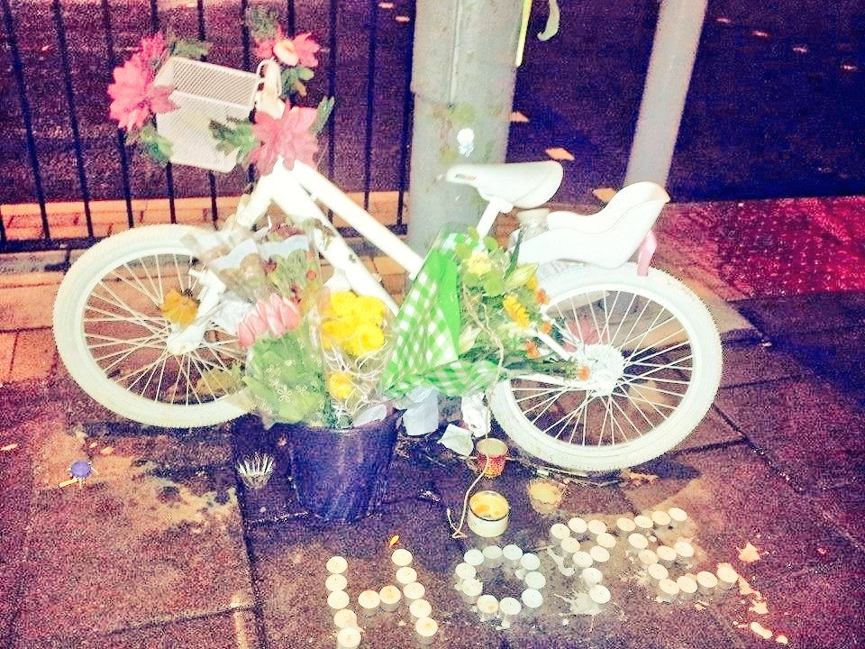 Nazan Fennell tweet media