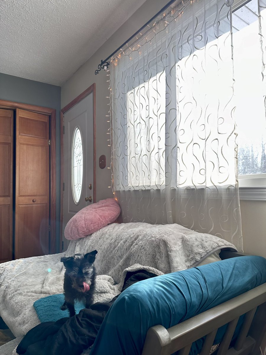 Missy, BFA, BA, AA tweet media