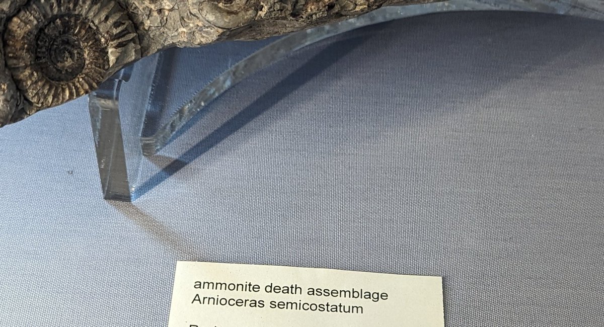 That's my Metal band name sorted then