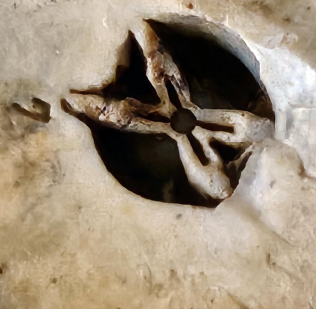 Mystery Cretaceous fossil (about 5 mm across) in a Palaeolithic flint hand-axe from Dorset. Any idea what it might be?