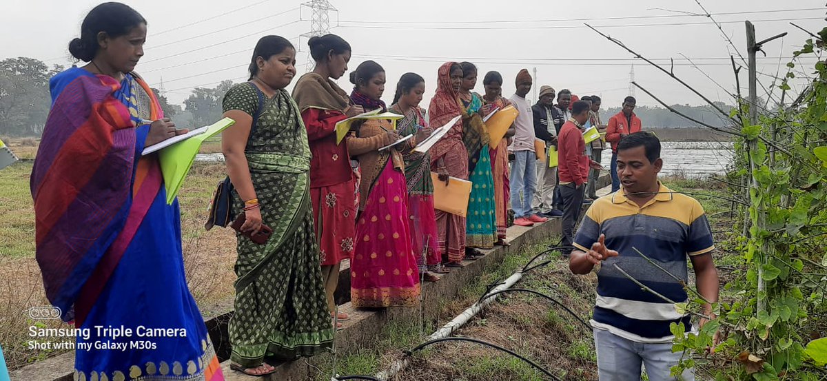 DfoSundargarh's tweet image. Capacity Building Trng-cum-Exposure visit Prgm of Project staff, P-NGO staff and VSS level SHG, CIG, PoP members, Progressive Farmers  on Integrated Farming System. In 2nd batch total 30 members from Ujalpur FMU  participated in 3 days programme
#OFSDP 
@ForestDeptt @pccfodisha