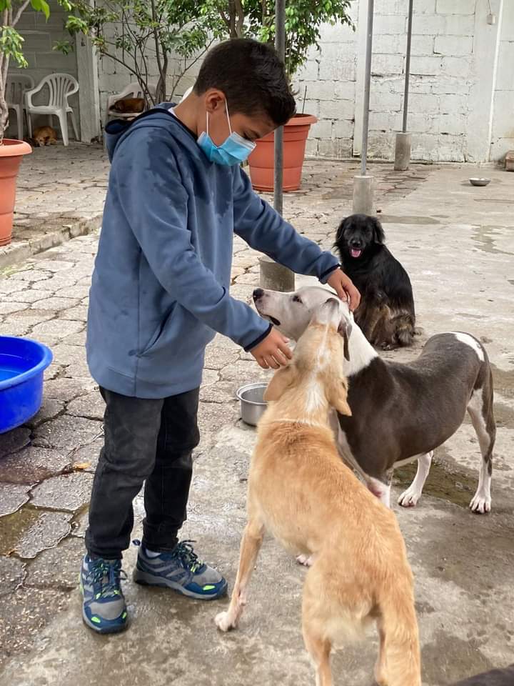 Los refugios son, generalmente, la respuesta desesperada y humanitaria de la sociedad civil frente a la inercia, quemeimportismo, falta de políticas públicas de las autoridades. A quién le pasamos la factura por "darles haciendo"? Hay MUCHO por corregir, mejorar, claro!