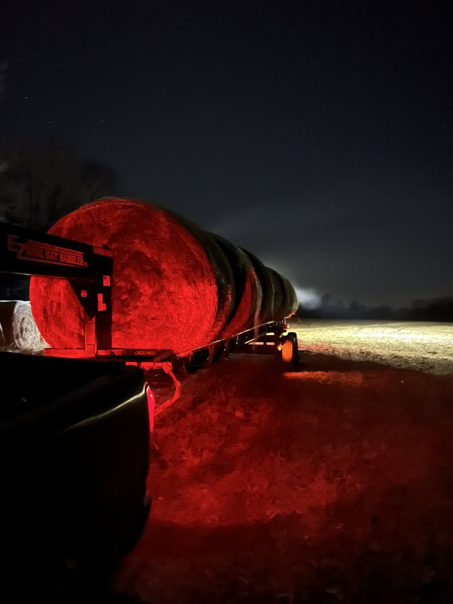 MikePatton50's tweet photo. We hauled 110 bales home yesterday had great help. We were beating the rain that’s coming in Sunday night. We finished up around 3:00 this morning with the last load. #FarmLife #cowchow #mobeef https://t.co/ttVV6sk6EO
