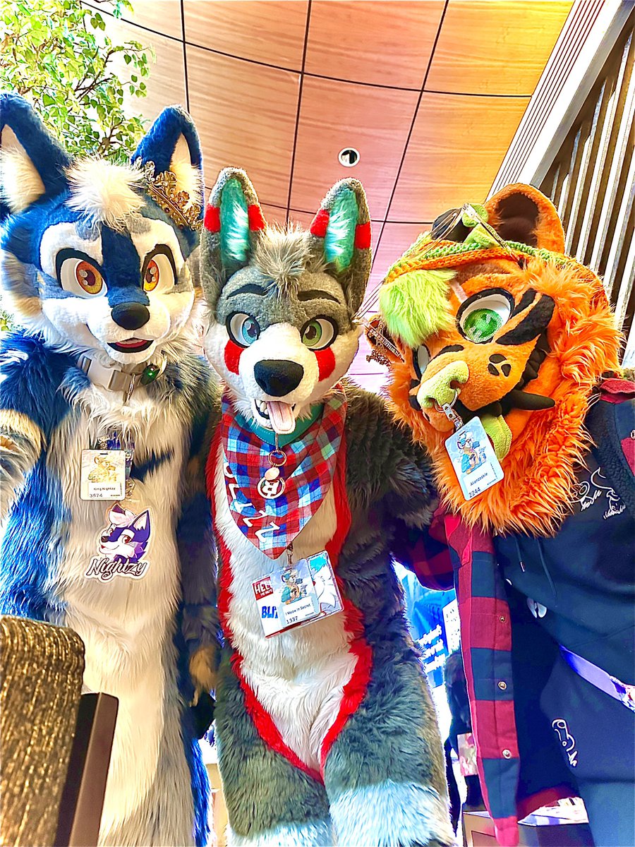 BlizzTheWolf's tweet image. Last day at ANE! ✨ Come get a hug! 🩵

@Thatspacelion @ItsNightzy