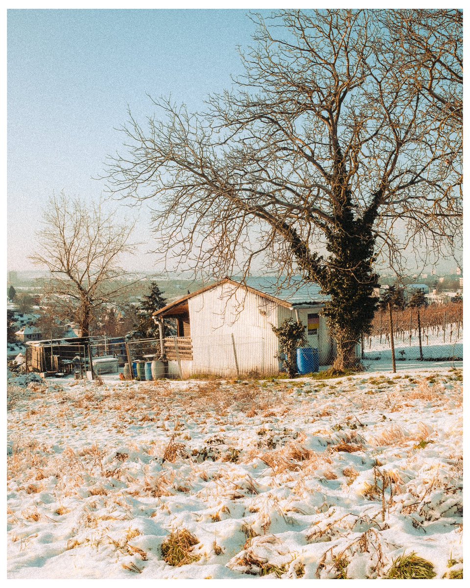 Winter light doing it‘s thing ✨ #FUJIFILM