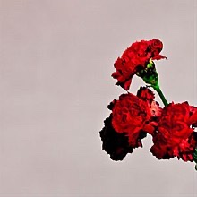 RoyBaker22's tweet photo. Friday’s Listening. #tinaturner #denharrow #johnlegend #music #listening #musiccollection #musiccollector https://t.co/FjJNBOyddl