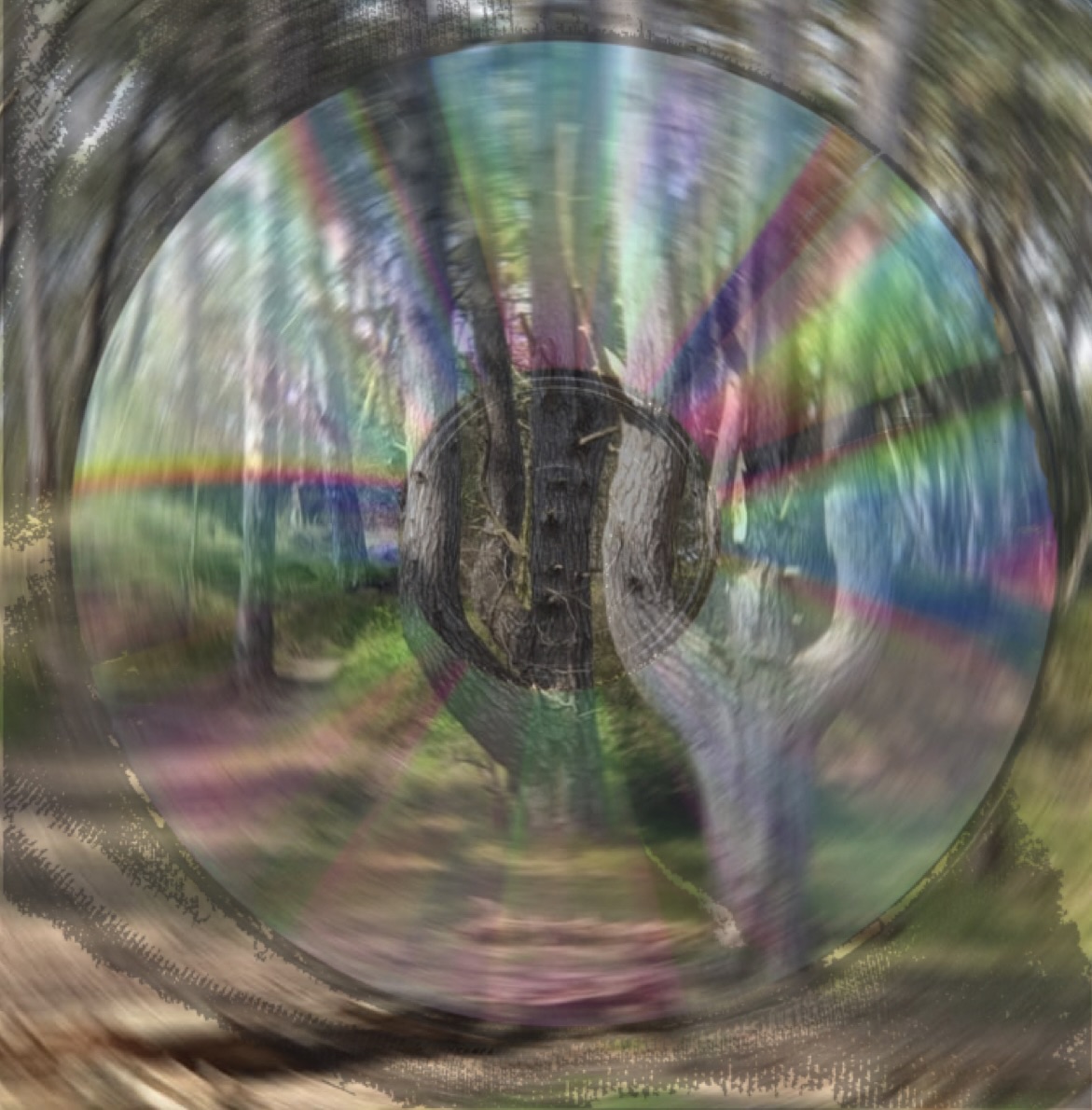 “Table Turning”. Passion and pain collide with a depiction of inner ambition fueled by fire and frustration. The track offers a cathartic outlet for pent-up frustrations of this world.  The instrumental arrangement is characterised by a deliberate dissonance #newmusic #indie