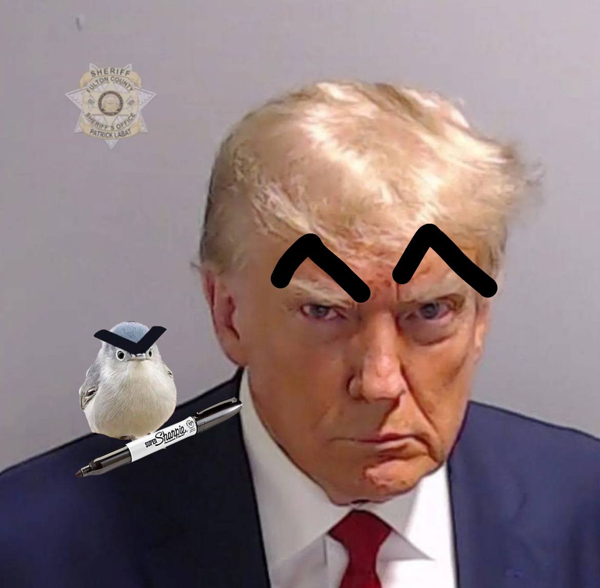 DeFilantropist's tweet photo. @glazeddoteth @birdwithbrows It's the brow that matters
$BiB #BiB #BirdIthBrows $SOL https://t.co/u8OowoXUxF