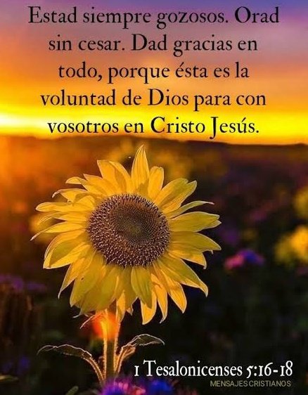 .
🩵No importa como inició tu día sólo mira al cielo SONRÍE y AGRADECE a DIOS porque te AMA y te dió un día más🩵

❇️ PERO ALÉGRENSE TODOS LOS QUE EN TÍ CONFÍAN ; DEN VOCES DE JÚBILO PARA SIEMPRE, PORQUE TÚ LOS DEFIENDES ; EN TÍ SE REGOCIJEN LOS QUE AMAN TU NOMBRE.❇️Salmos 5:11❇️