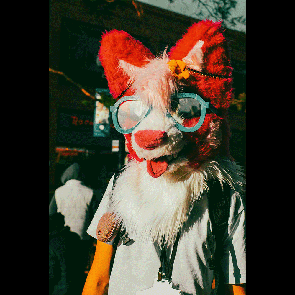 ReyoRedwolf (@reyoredwolf) on Twitter photo Pearl Paws with <a href="/aleksiswoof/">🏎️ Aleksis 🔜 Monterey Car Week 🏎️</a>
.
.
.
.
.
.
.
.
.
.
#photography #colorado #minolta #sony #sonya77ii #sonyalpha
#furry #furries #furrycommunity #fursuit #fursuiting #diy #fur #furryfandom
#furryfriends #furryoc #furriesofinstagram Pearl Paws with <a href="/aleksiswoof/">🏎️ Aleksis 🔜 Monterey Car Week 🏎️</a>
.
.
.
.
.
.
.
.
.
.
#photography #colorado #minolta #sony #sonya77ii #sonyalpha
#furry #furries #furrycommunity #fursuit #fursuiting #diy #fur #furryfandom
#furryfriends #furryoc #furriesofinstagram