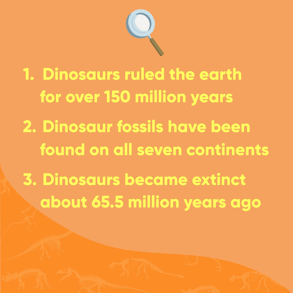 LearnwithOJO's tweet photo. Did you know? 

1. Dinosaurs ruled the earth for over 150 million years 
2. Dinosaur fossils have been found on all seven continents 
3. Dinosaurs became extinct about 65.5 million years ago

Share your favorite dino fact! 🦖🌿 

#DinoFacts #JurassicJourney #PrehistoricWonders https://t.co/4rgAW9kruG