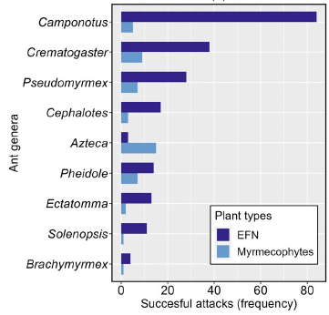 NEW PAPER!!!
What are the most effective ants in protecting EFN-bearing plants and myrmecophytes? We answered this question in our new study published at Journal of Zoology. 
doi.org/10.1111/jzo.13…
#biologicalcontrol #ants #plants