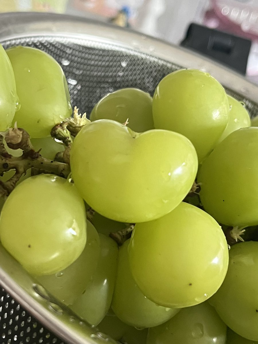 10초안에 알티하면 짝사랑 이루어진다고 하던데
한번 해보세얌