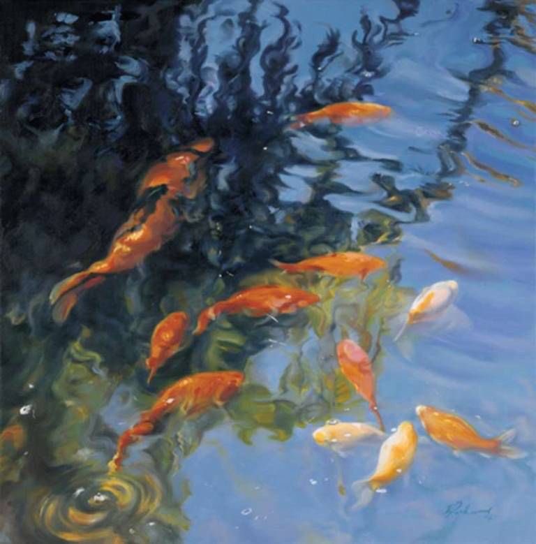 Putting a fish tank into a Dentist’s and Doctors waiting room is always a good move . Relaxing and pretty taking the mind away from what is to come! ‘Koi’ Prints by Rachel Lockwood Pinkfoot Gallery