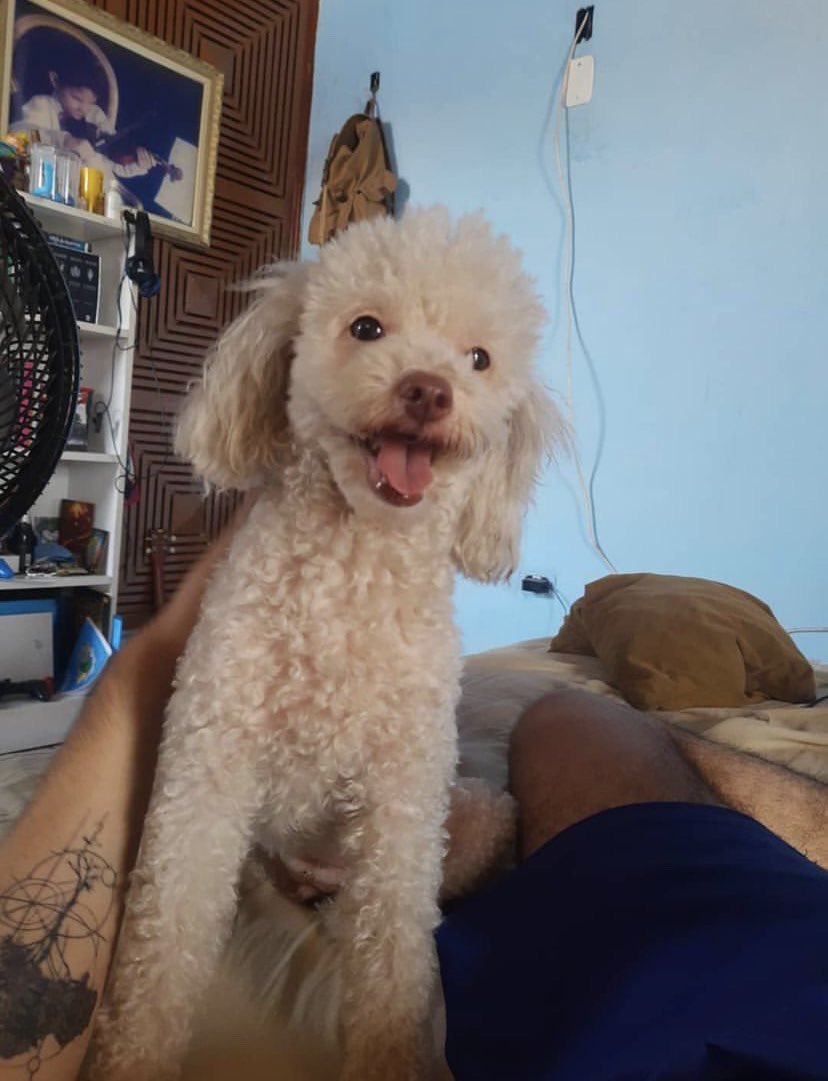 tgraychapter's tweet image. vou te levar pra sempre comigo meu amor, obrigado por todo esse tempo que você esteve comigo