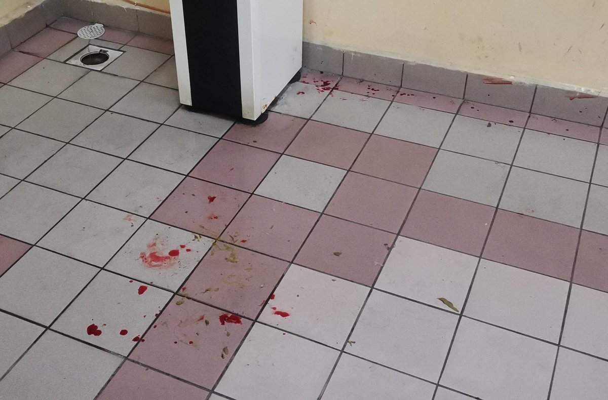 N_Nadhirah99's tweet photo. Assalamualaikum warga2 twitter yg baik hati. Saya dan kawan2 ada jumpa anak kucing ni perut terburai 😭😭 mungkin lepas gaduh sebab dgr macam kucing bergaduh sebelum tu. kawan saya ada bawa pergi AMC and kos rawatan rm3k. Kami student mmg tak mampu nk bayar kos rawatan https://t.co/5HIzAKr0D9