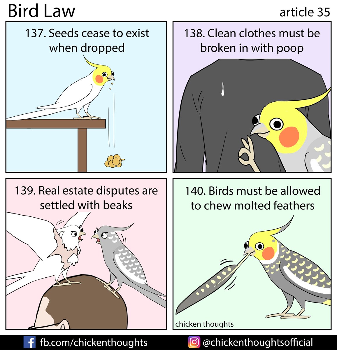 Bird law article 35 starring Yamfish, Kiwi (@avianfruitsalad), Carter & Collin, and Dante!