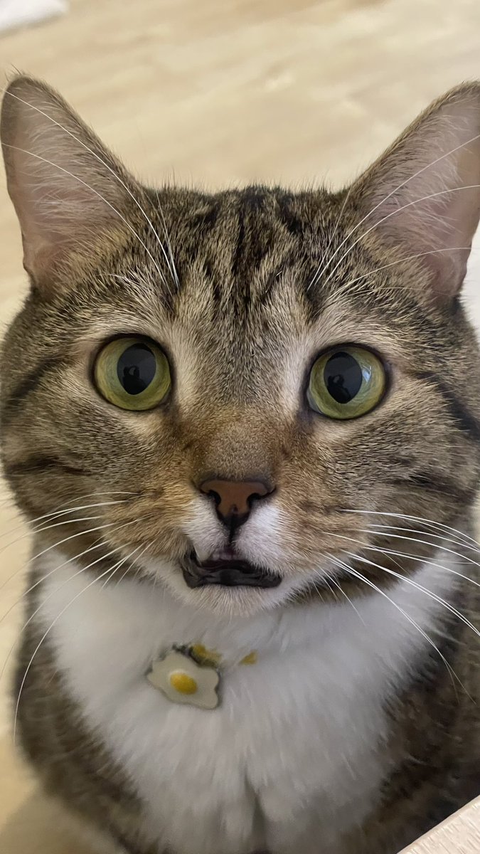 My face when I realized that due to a long absence all the statistics died 🥲