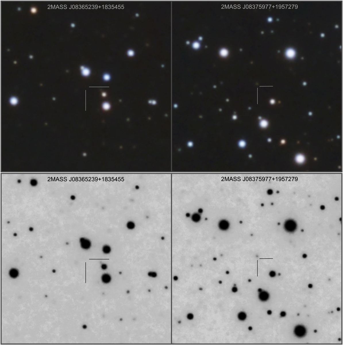 Two brown dwarfs in the Praesepe cluster (M44)
After M45, M44 is the cluster in which search for substellar objects or red dwarfs, being at 180pc.
There are very few brown dwarfs concretely confirmed. In fact I only tracked down two in my however deep capture.