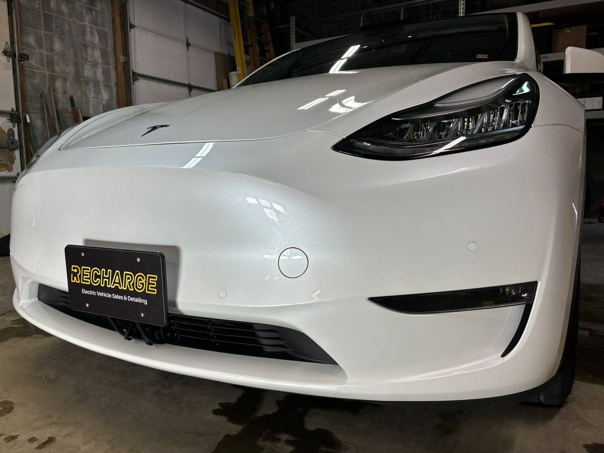 Thank you <a href="/DKeiser10/">Daulton Keiser</a> for letting us detail your pet friendly Model Y!