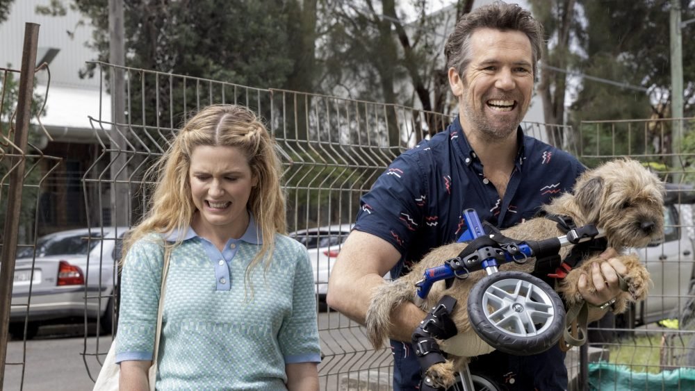 Just finished watching the wonderful #ColinFromAccounts (again!) If you want to get away from the January Blues, you can't do anything better than watch the fabulous @HarrietDyerCom @PatrickBrammall & the brilliant cast of this ever warm & beautiful sit com on @BBCiPlayer 🐶💝