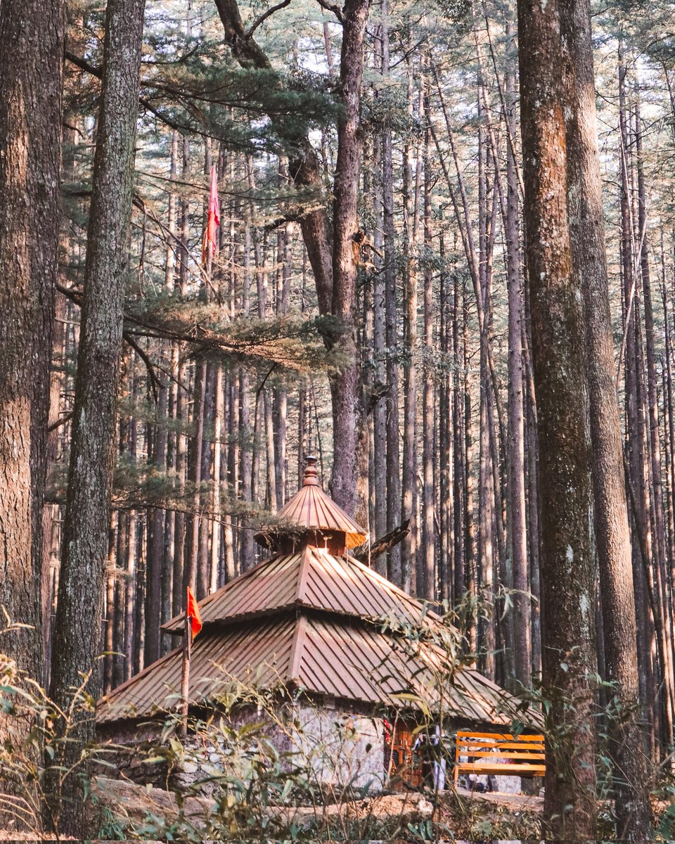 Nusta_Confused's tweet photo. The famous Devalsari Shiva Temple of the Aglar Valley, in Tehri Garhwal District.  It is said to have been built in the 1600's and is surrounded by tall deodar trees. 600 years ago, the area had no deodar forests but was used to grow Jowari.
#devalsari #uttarakhand #india https://t.co/i6UKc9U8DI