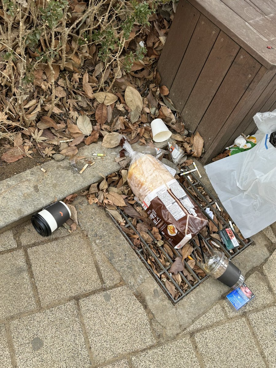 이렇게 큰 새 식빵이 어쩌다 불법투기가 되었는지...