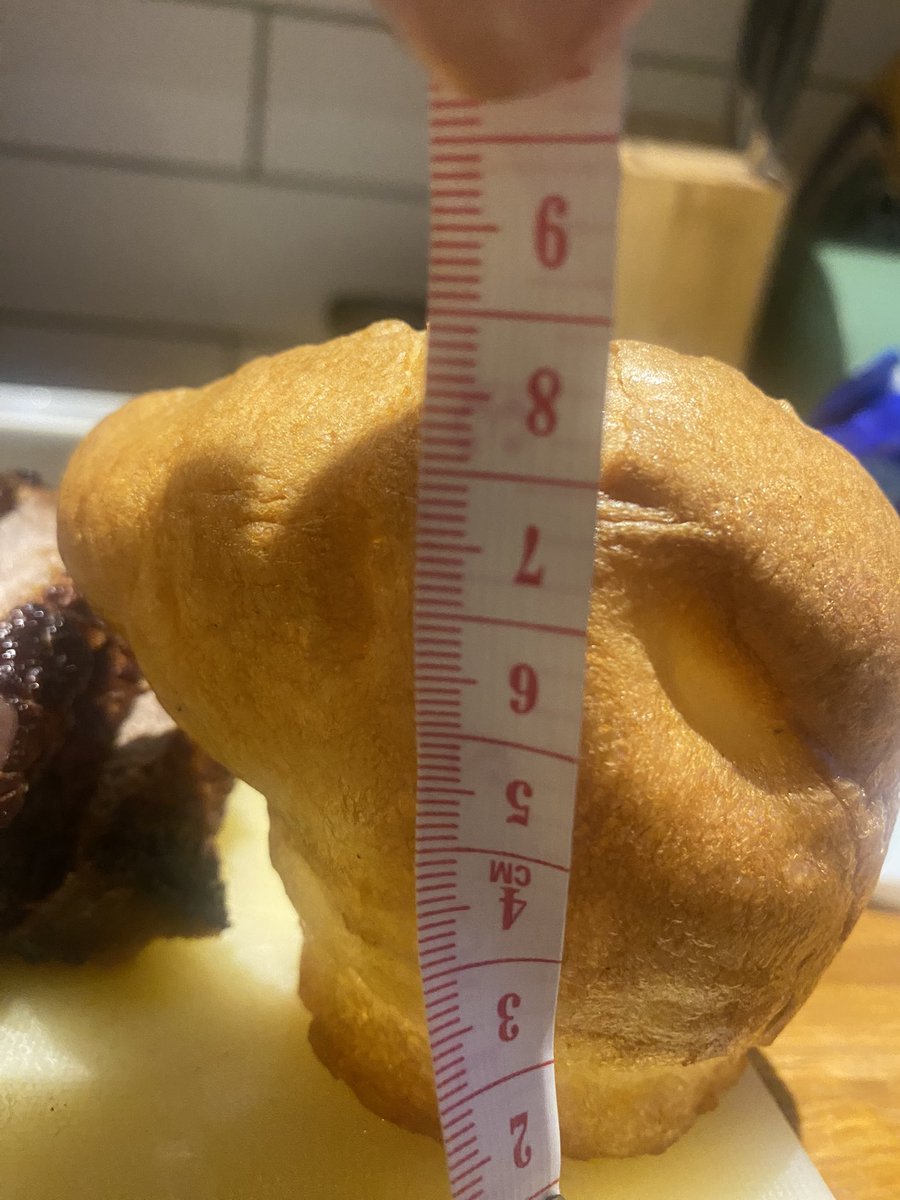 So how many other people have been measuring their yorkies tonight? Not quite making the mark it would seem 🤨 <a href="/antanddec/">antanddec</a>  #LimitlessWin
