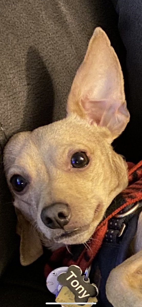 maybmady's tweet image. 