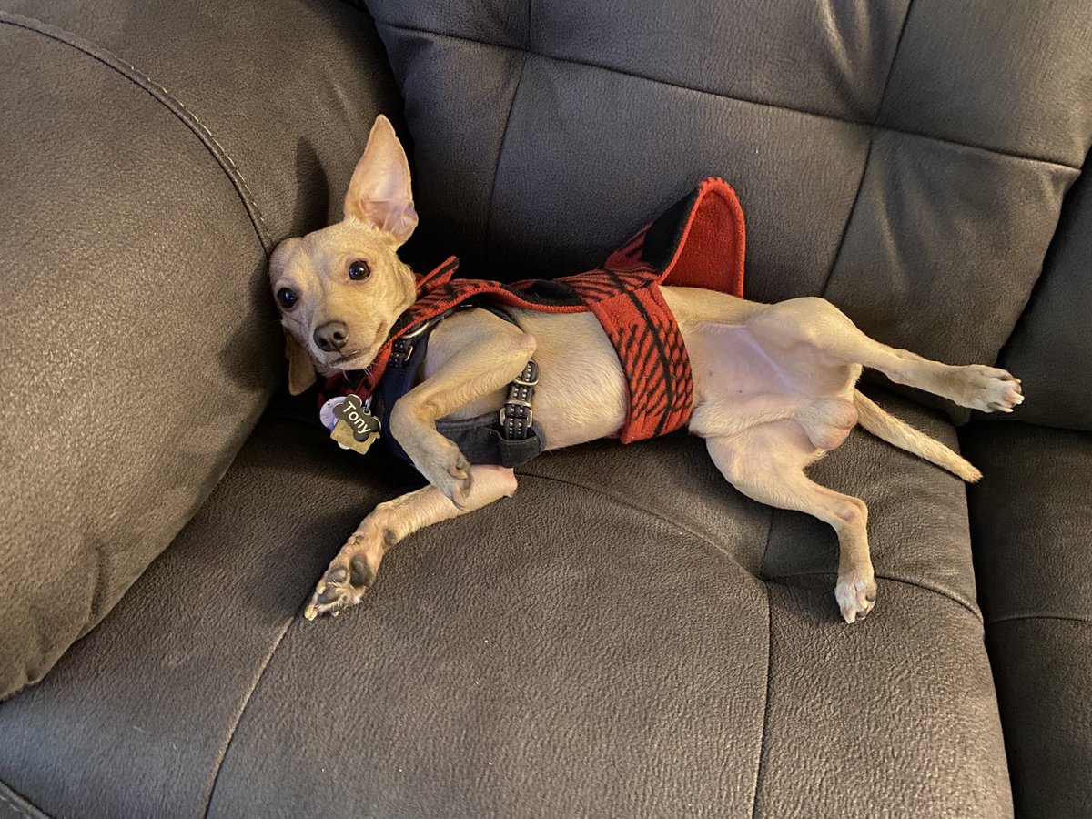 maybmady's tweet image. 