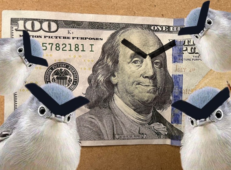 DeFilantropist's tweet photo. @Purpol11 @atitty @birdwithbrows $BiB community are the hottest grinders I've ever seen in a memecoin 🔥
#BirdIthBrows $SOL https://t.co/ehqUo0rhdM