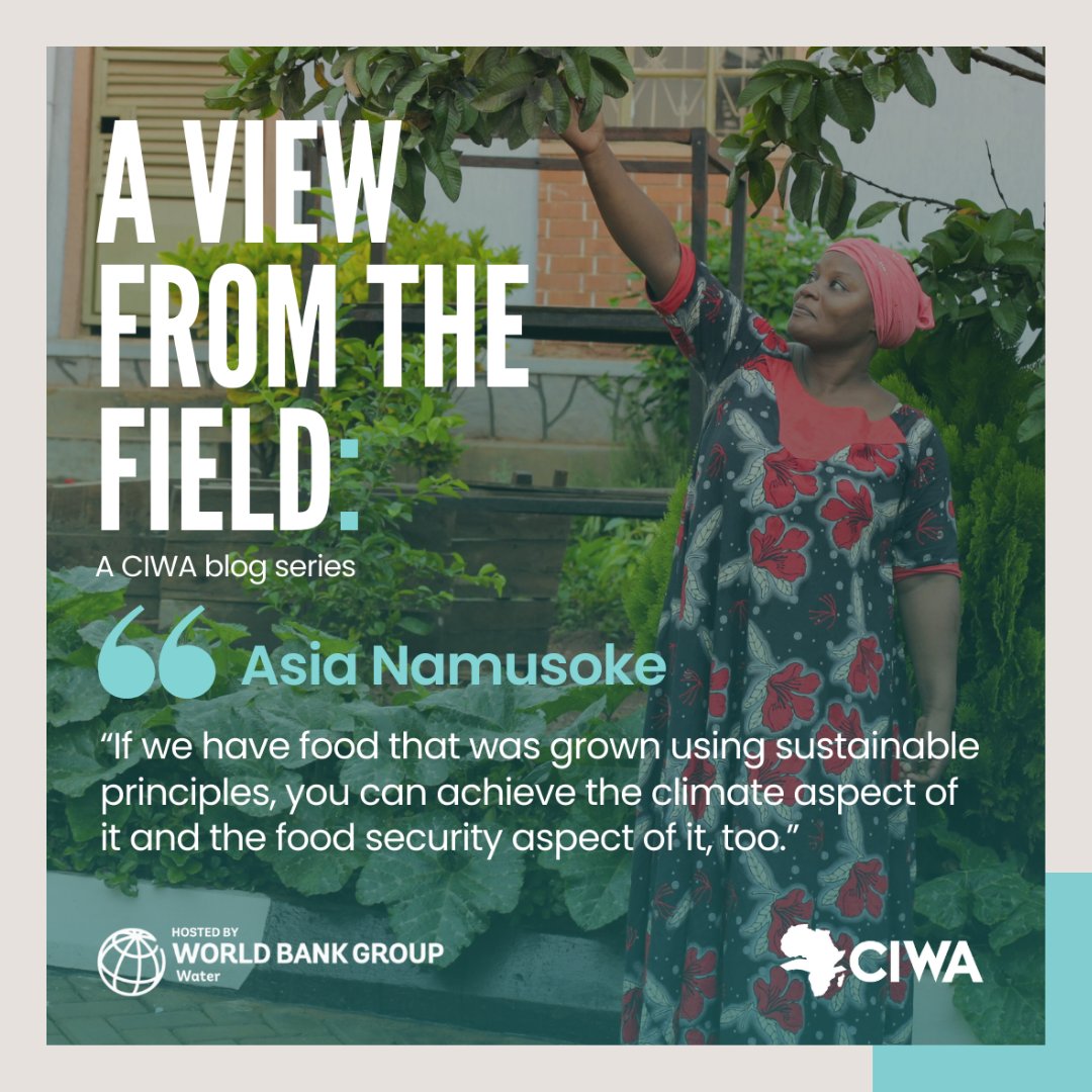 WorldBankWater's tweet photo. #ClimateChange resilience begins at home.🏡

That's the motto of Asia Namusoke, a Climate Resilience Champion in #Uganda:

📢 giving lifelines &amp; empowering her community
♻️ promoting sustainable agriculture &amp; better health
👉🏾 https://t.co/9KhgpWj6we

#AViewFromtheField #NileBasin https://t.co/bODPPoFy71