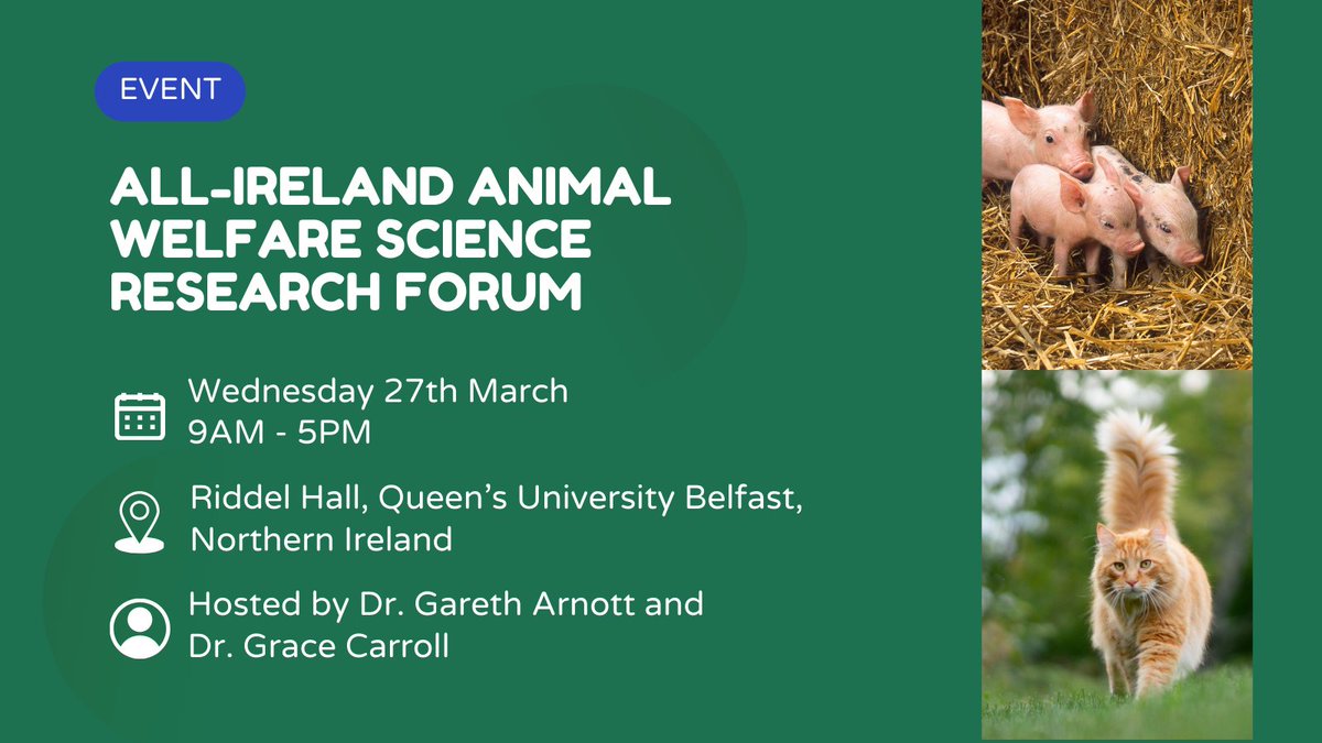 Dr Grace Carroll (@graceacarroll) on Twitter photo The 2nd All-Ireland Animal Welfare Research Forum will be hosted at Queen's University Belfast this year 🐱🐓🐒🐹 Researchers based in NI and ROI should send abstracts and enquiries to: AWSResearchForum2@qub.ac.uk ***deadline 26th Feb*** <a href="/QUBPsych/">QUB - School of Psychology</a> <a href="/QUBIGFS/">IGFS</a> <a href="/Arnottlab_qub/">Arnott Lab</a> The 2nd All-Ireland Animal Welfare Research Forum will be hosted at Queen's University Belfast this year 🐱🐓🐒🐹 Researchers based in NI and ROI should send abstracts and enquiries to: AWSResearchForum2@qub.ac.uk ***deadline 26th Feb*** <a href="/QUBPsych/">QUB - School of Psychology</a> <a href="/QUBIGFS/">IGFS</a> <a href="/Arnottlab_qub/">Arnott Lab</a>