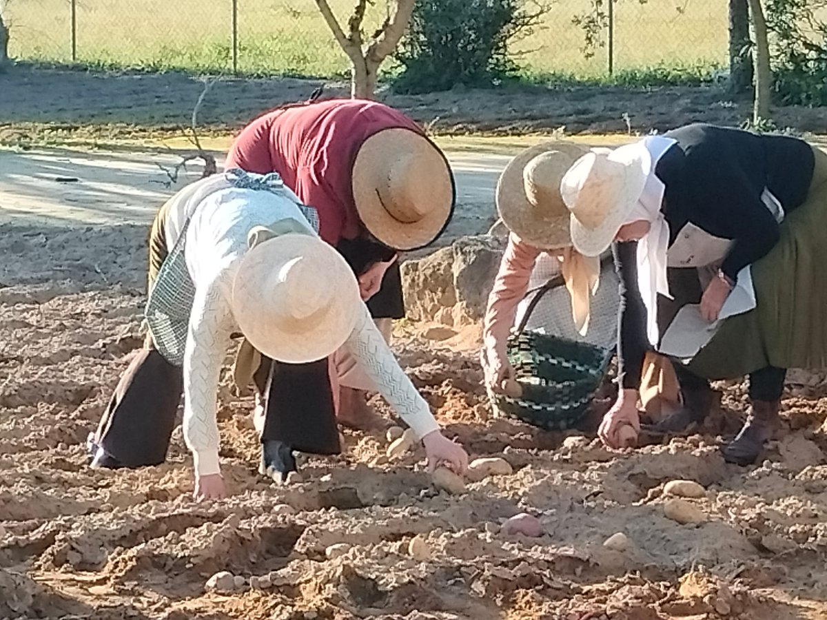 angelherrerasa3's tweet image. #MIENTRAS MEDIA EUROPA SACA LOS TRACTORES A LA CALLE.EMBAJADORES DEL CAMPO ALZA LA VOZ CON UNA SEVILLANA,QUE SE CONVERTIRÁ EN UN HIMNO DE PROTESTA.CON UN VIDEO CLIP QUE PRETENDE BUSCAR EL APOYO DE TODOS LOS CIUDADANOS,CON LA COMIDA NO SE JUEGA Y AL CAMPO NO SE LE NONGUNEA.