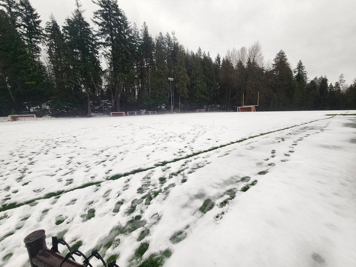 DNV Fields tweet media