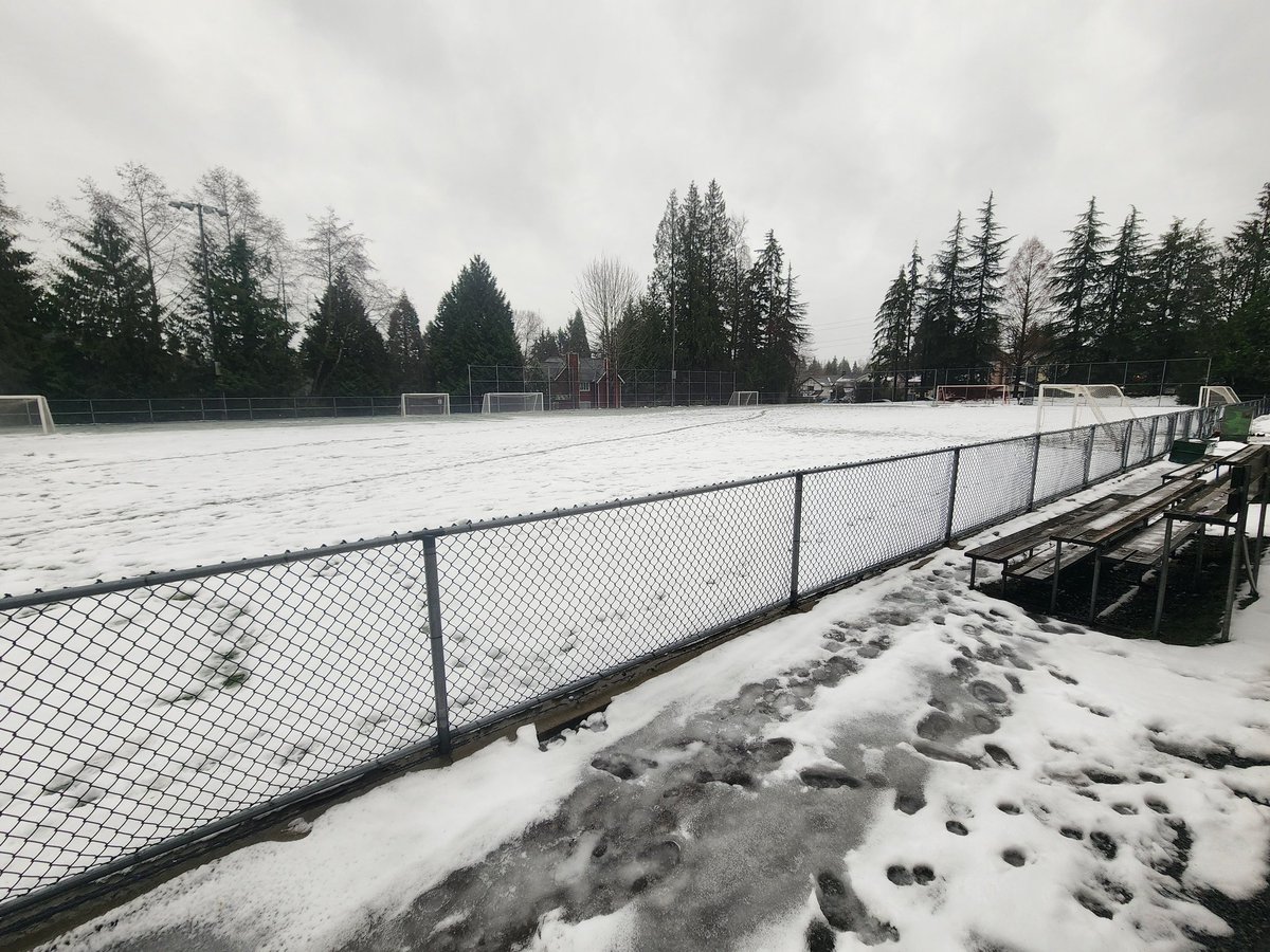 DNV Fields tweet media